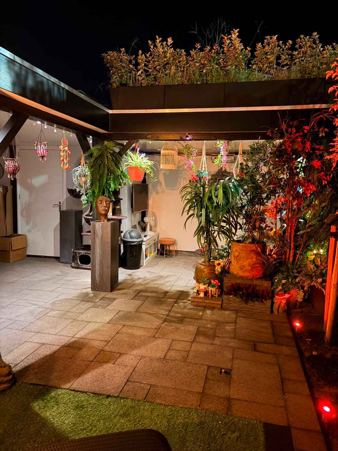De tuin in het donker, met uitgelichte bomen