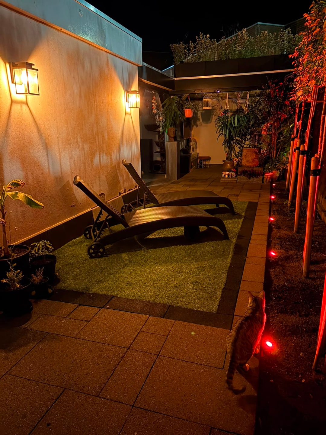Verlichting tussen de beplanting in de avond