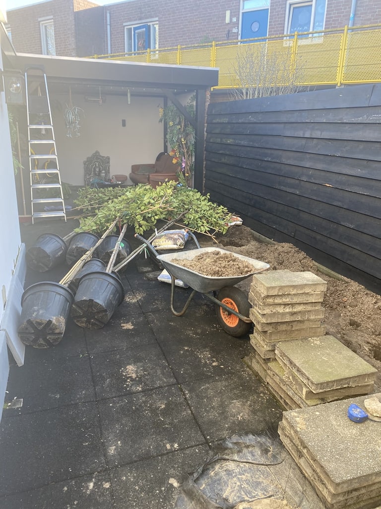 Jonge bomen net geplant langs de schutting