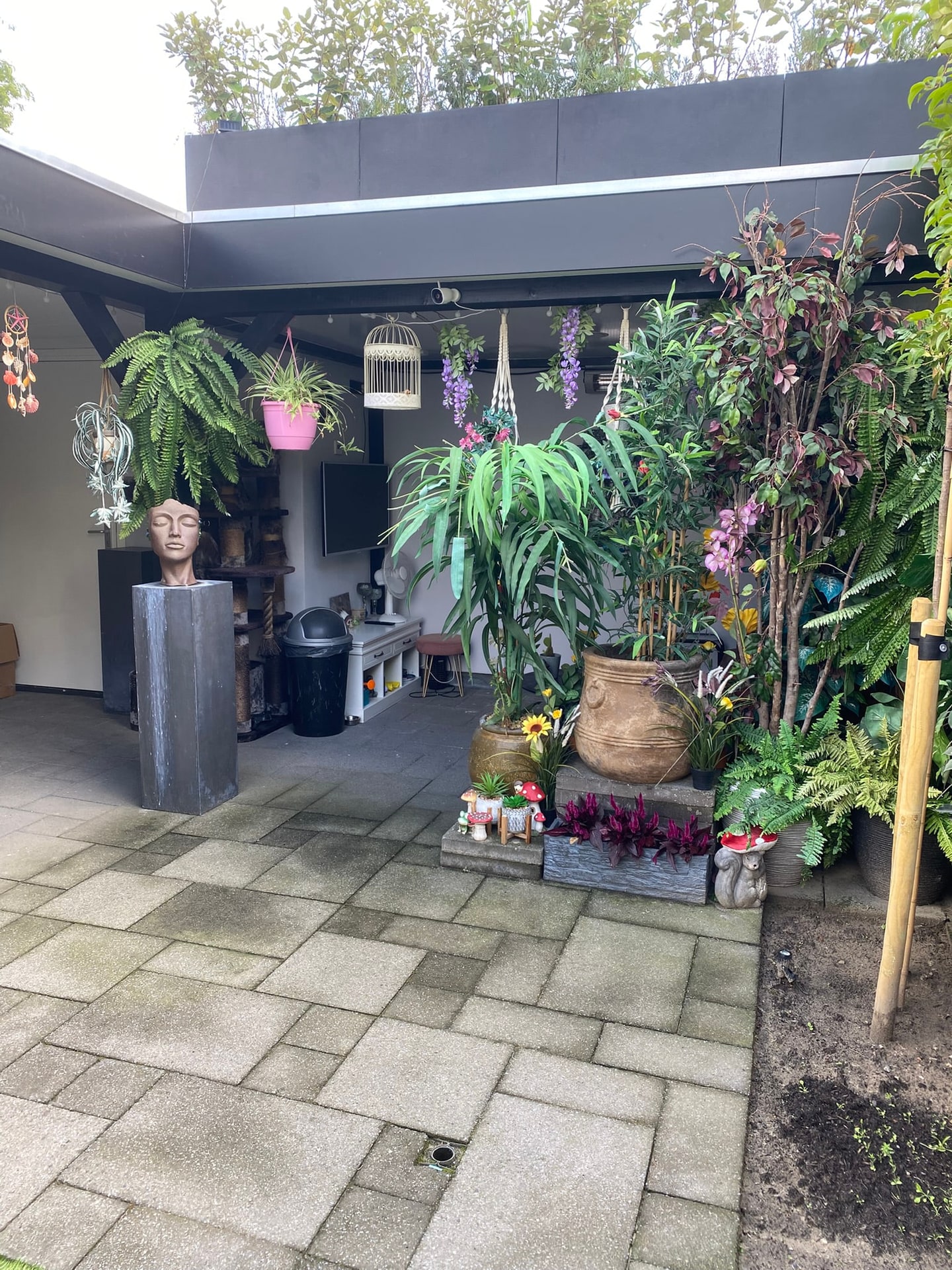 De tuin nu: beplanting langs de schutting en de bomen