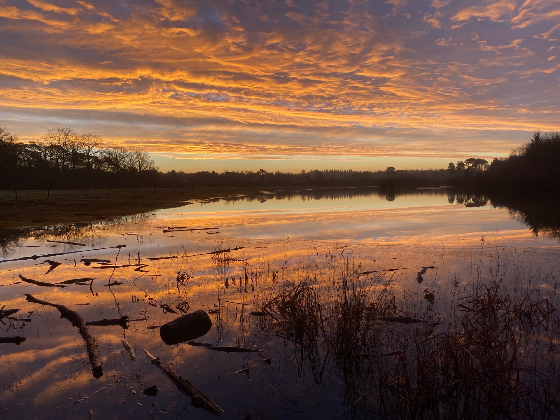 Een oranje avondlucht boven een ven, met riet en een tak in het water