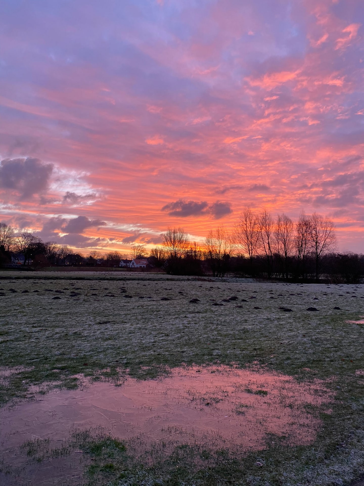 Een roze en paarse lucht boven een kaal veld, weerspiegeld in een plas water