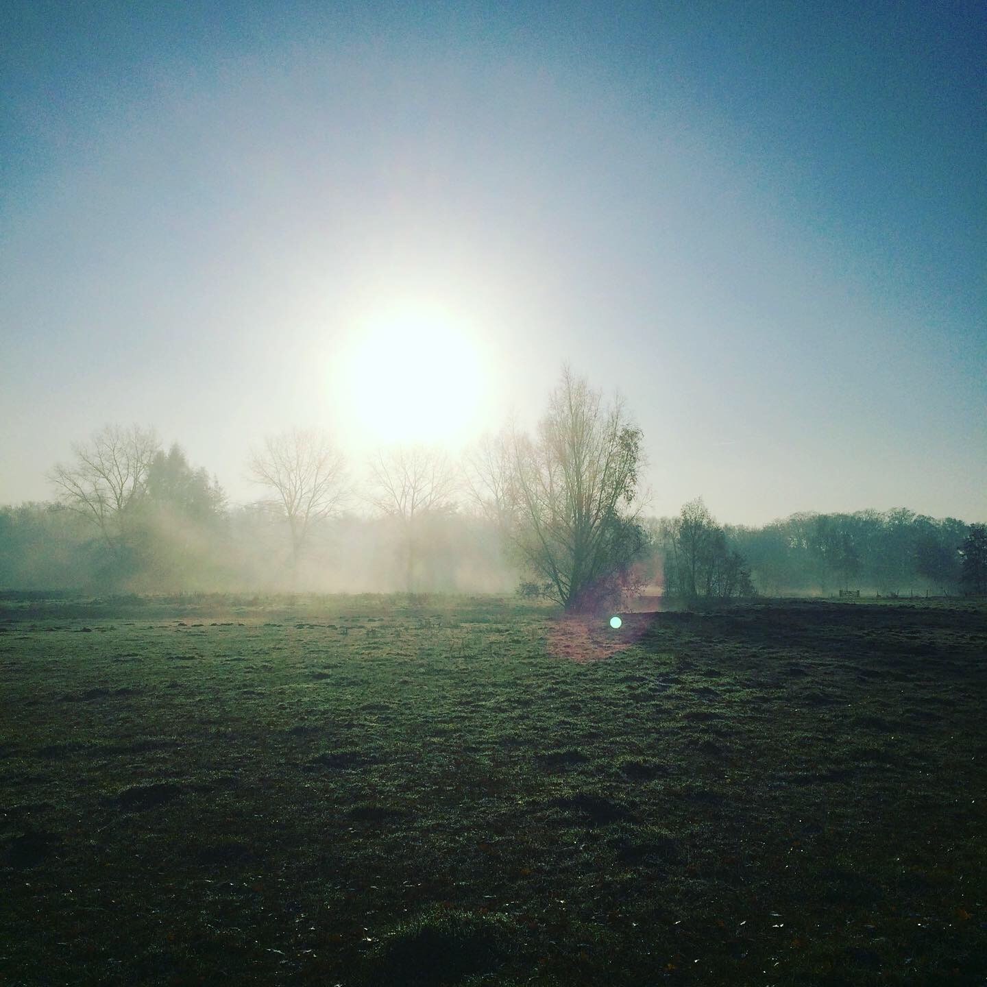 De zon die door de ochtendmist boven een weiland heen breekt
