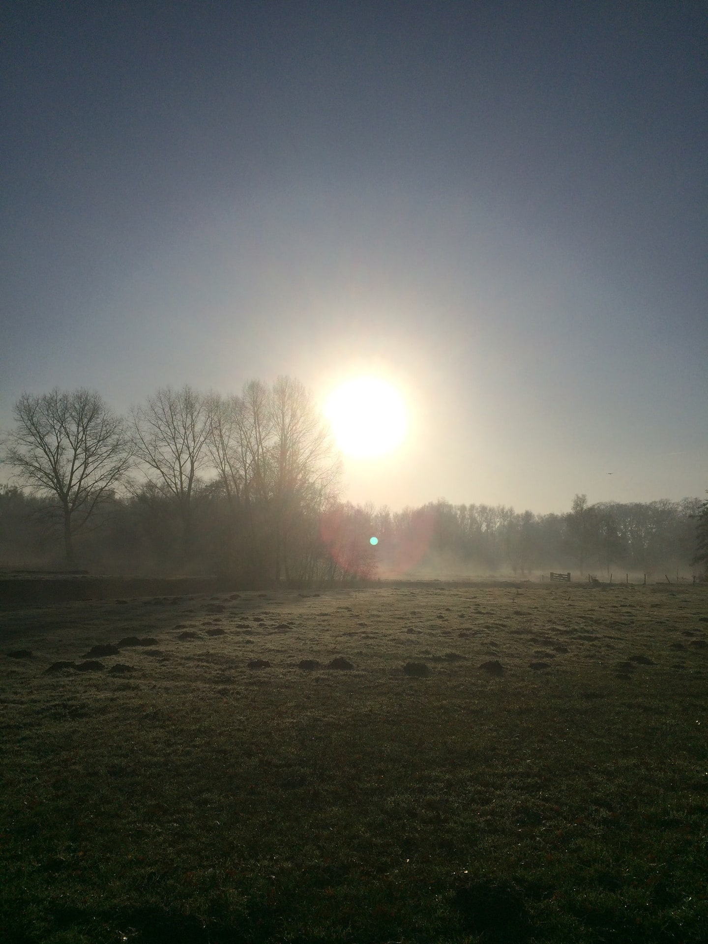 Een weiland in de ochtendmist, met de zon er laag boven