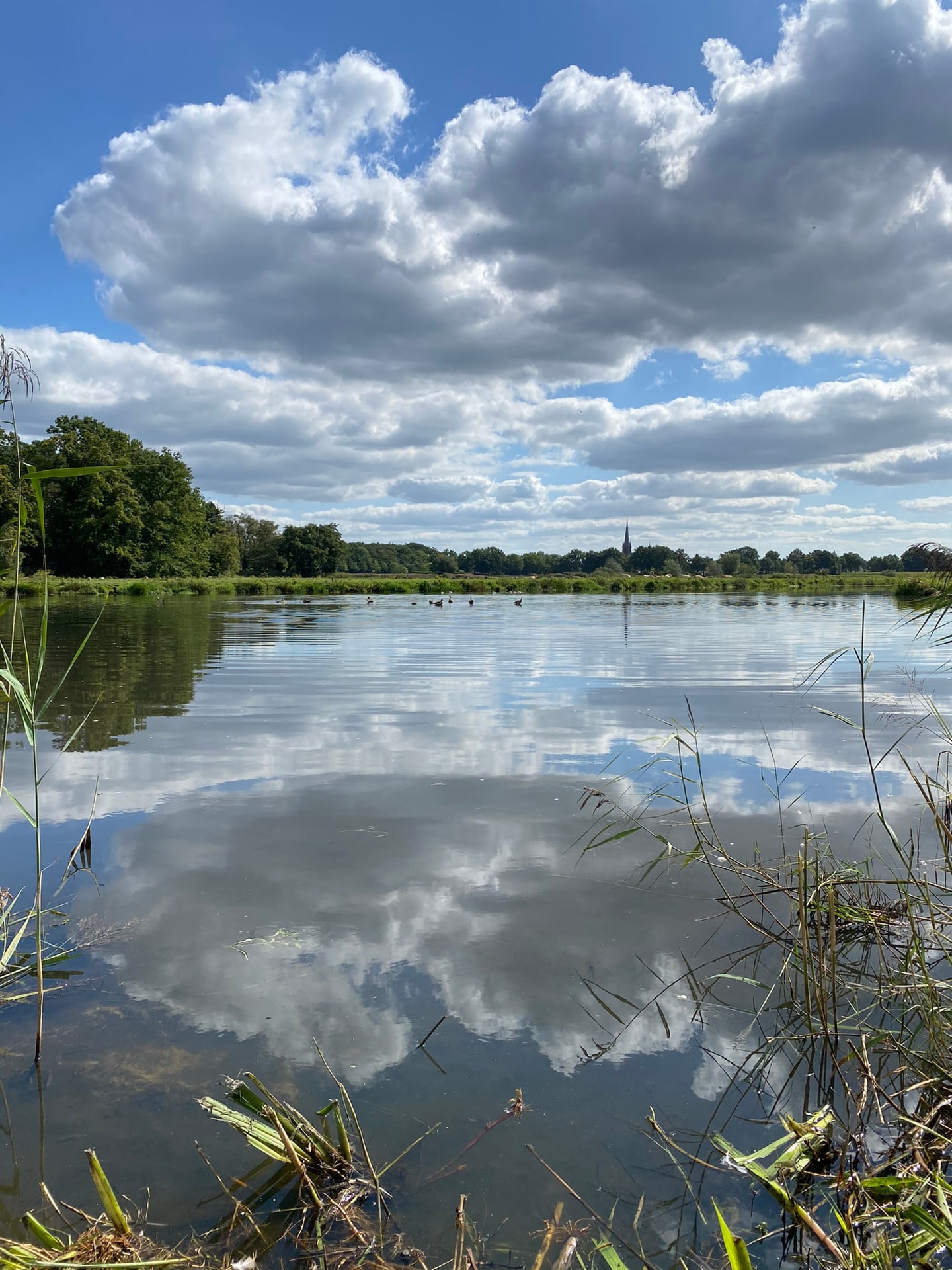 Stapelwolken weerspiegeld in het vlakke water van een plas