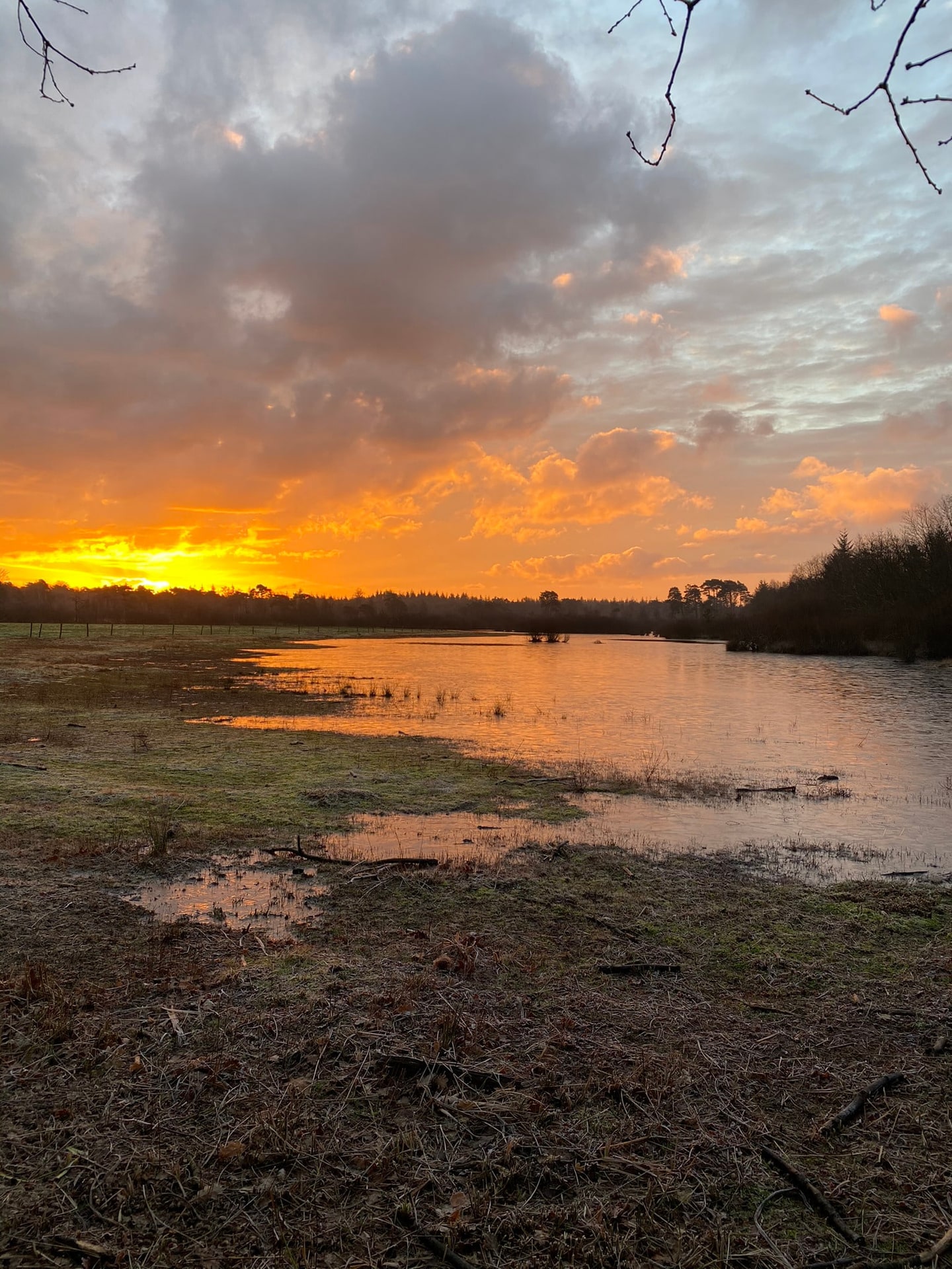 Zonsondergang boven een drooggevallen plaat, met plassen in het zand
