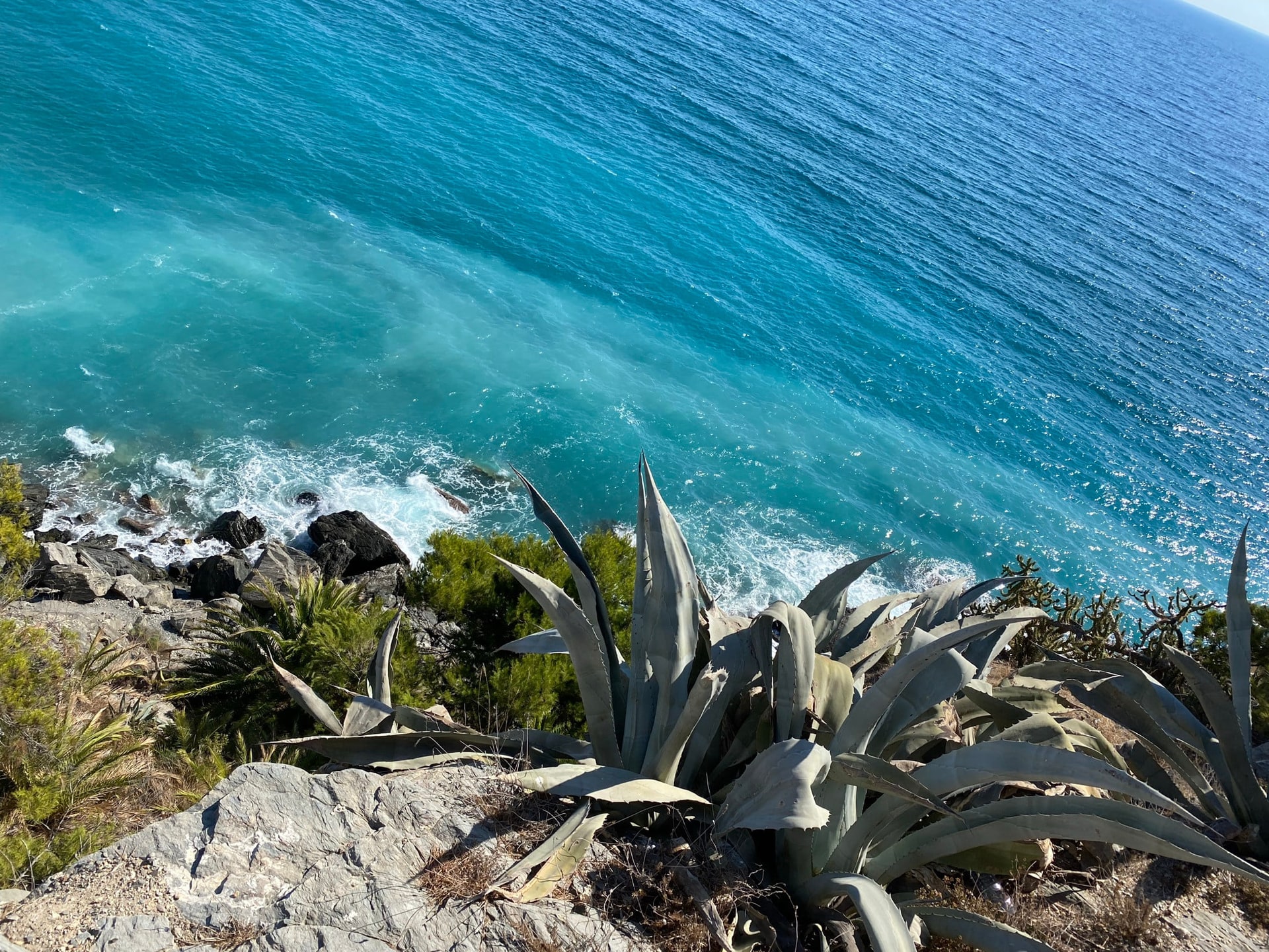 Turkooisblauwe zee vanaf een klif, met agaves op de voorgrond