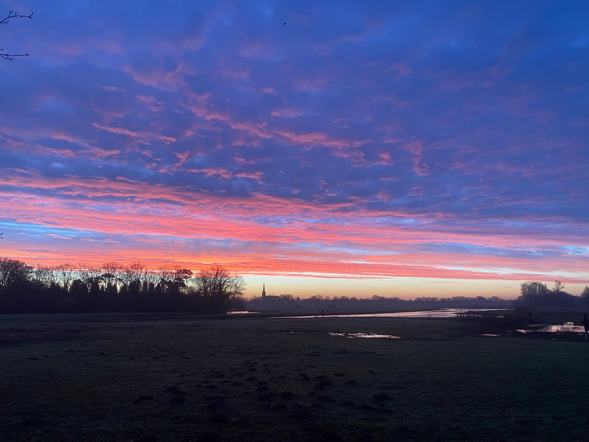 Een roze en blauwe ochtendlucht boven een donker veld