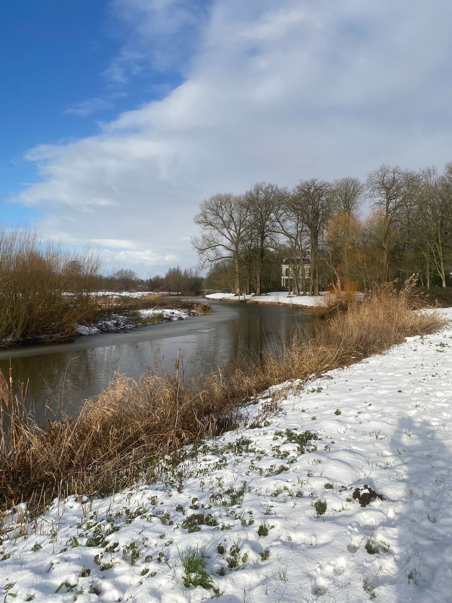 Sneeuw langs een beek met riet, onder een gebroken wolkendek