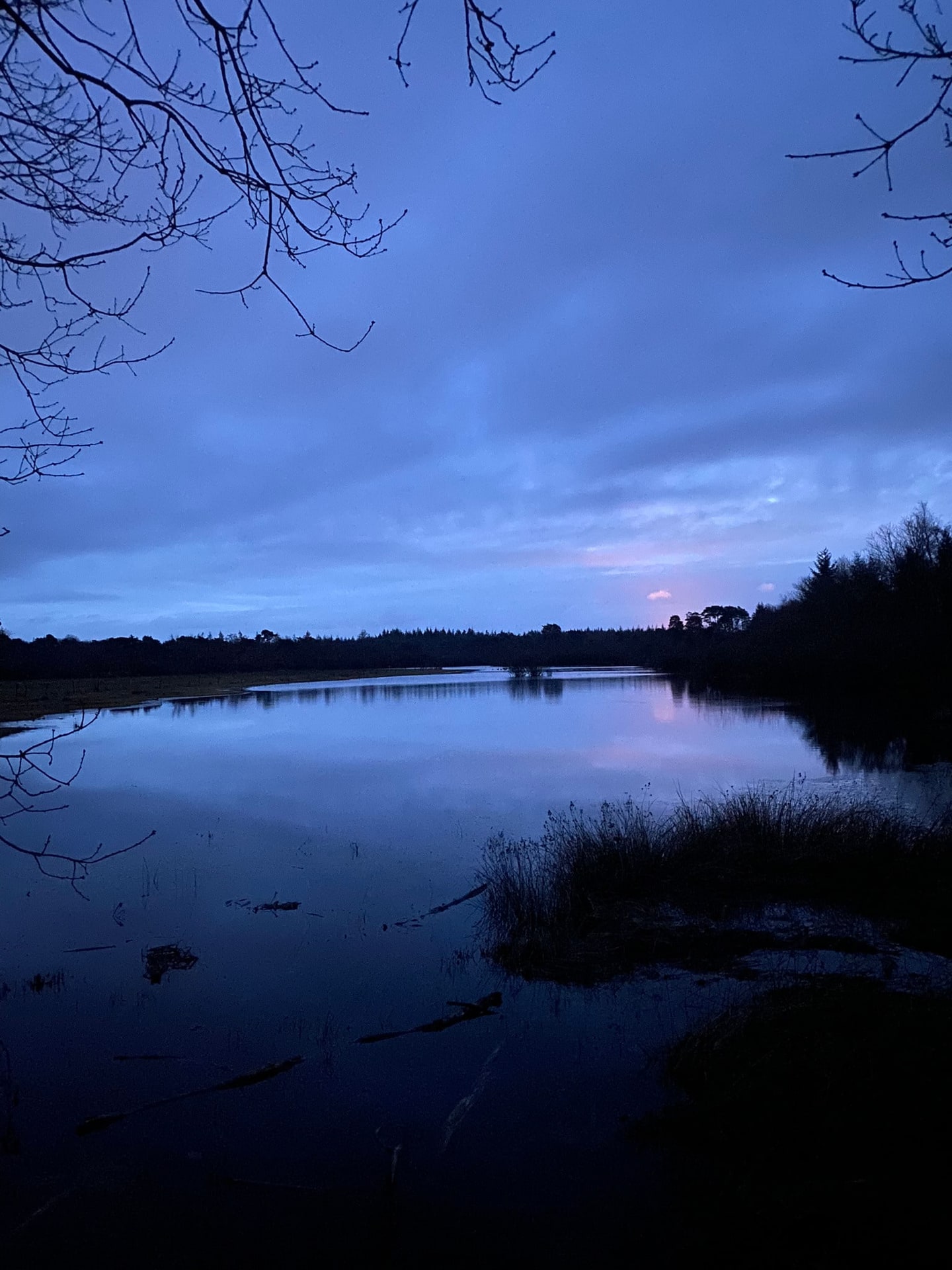 Een rivier in de schemering, onder een lucht met roze wolken