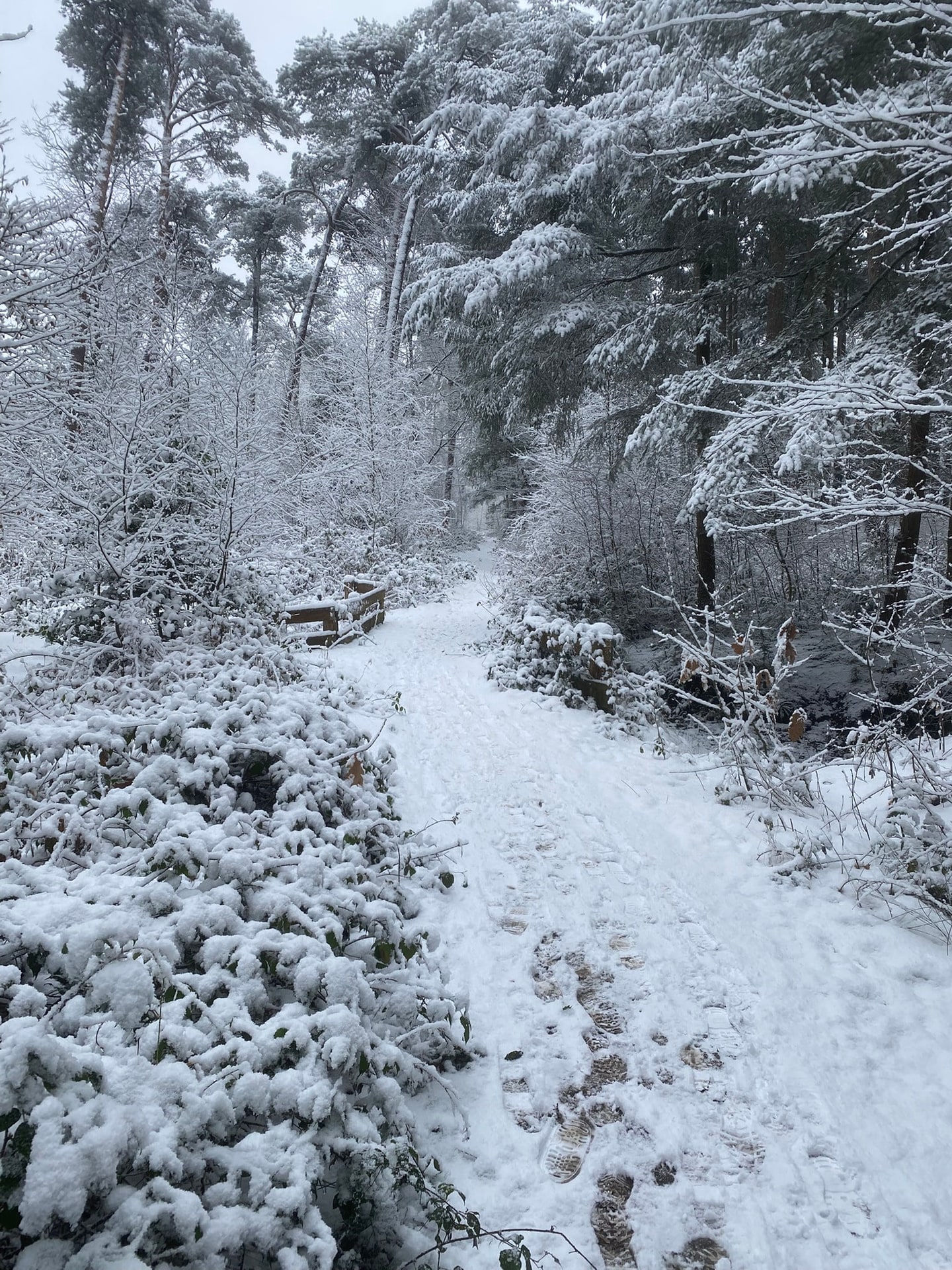 Een besneeuwd bospad met voetstappen erin