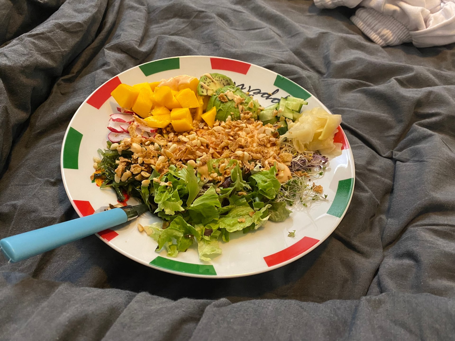 Een bord met salade, mango en gehakt