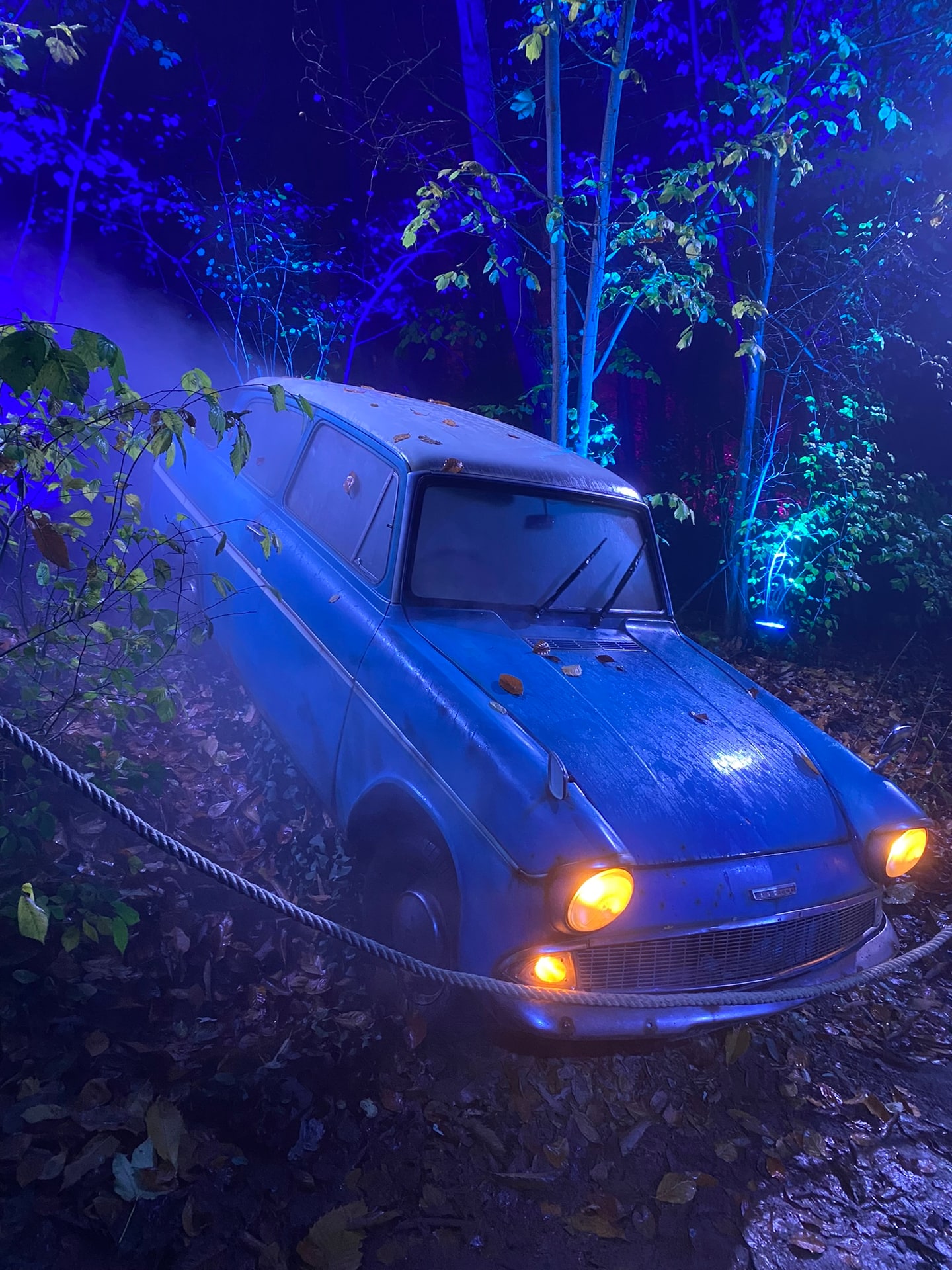 De blauwe auto uit de films, half tussen de begroeiing langs het bospad