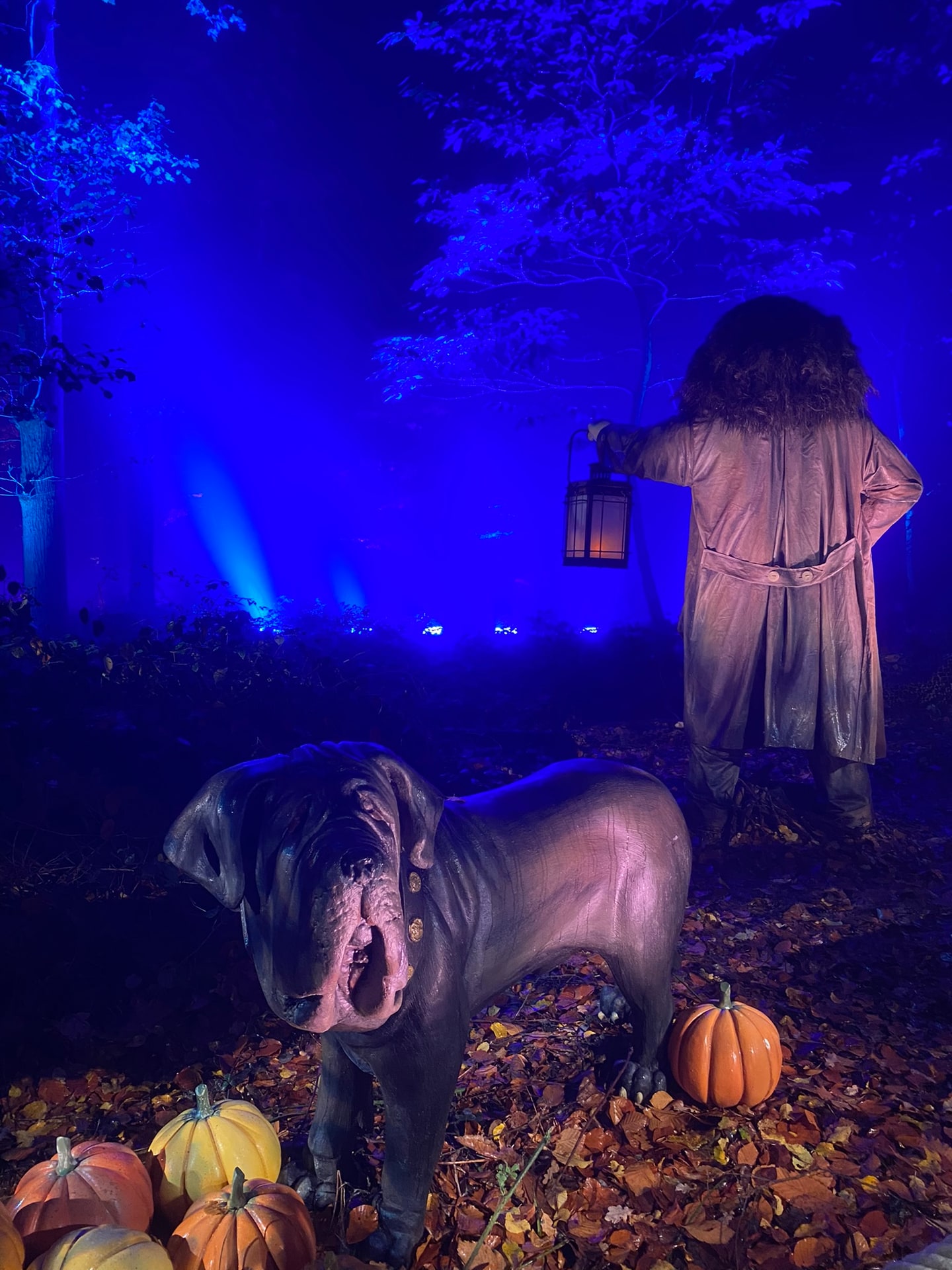 Een grote figuur van Hagrid met zijn hond naast zich, tussen de bomen langs de route
