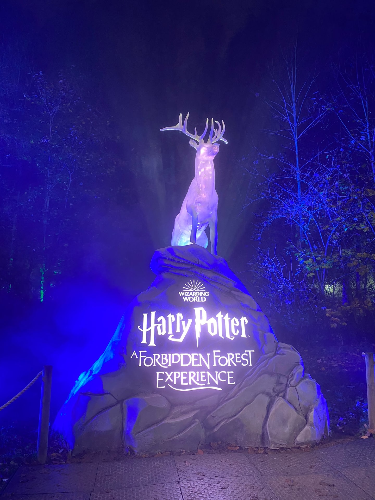 De verlichte ingang van het Harry Potter-bos in het donker