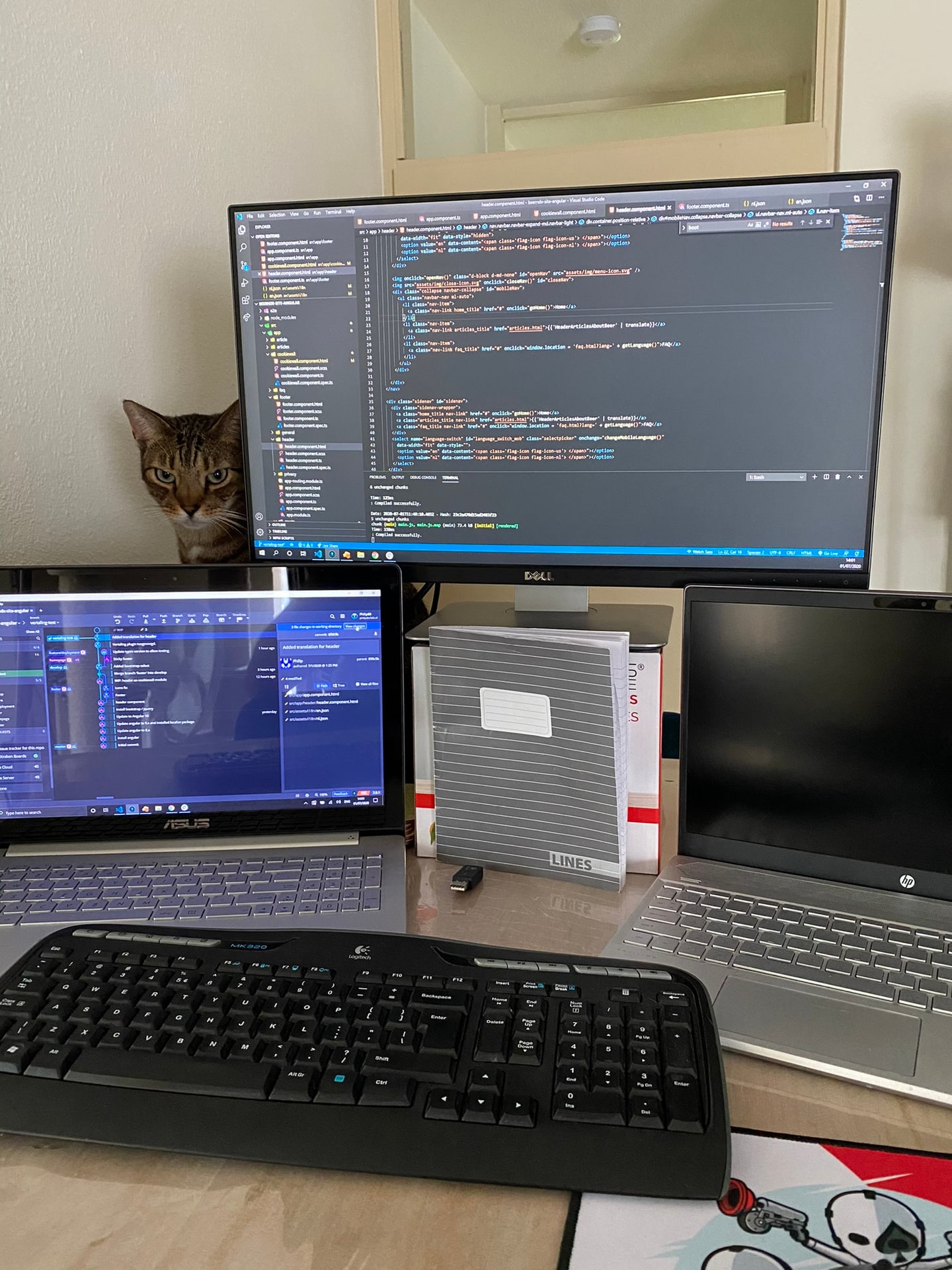Een kat die achter een beeldscherm vandaan de kamer in kijkt, met een bureau vol laptops