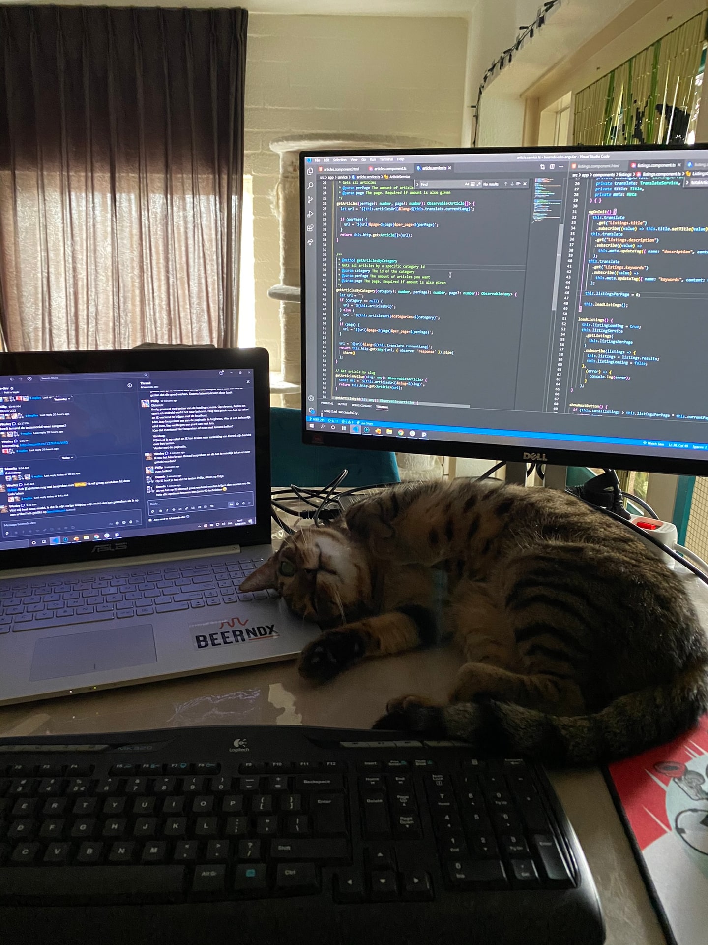 Een kat languit over het bureau voor twee beeldschermen met code, naast een opengeklapte laptop