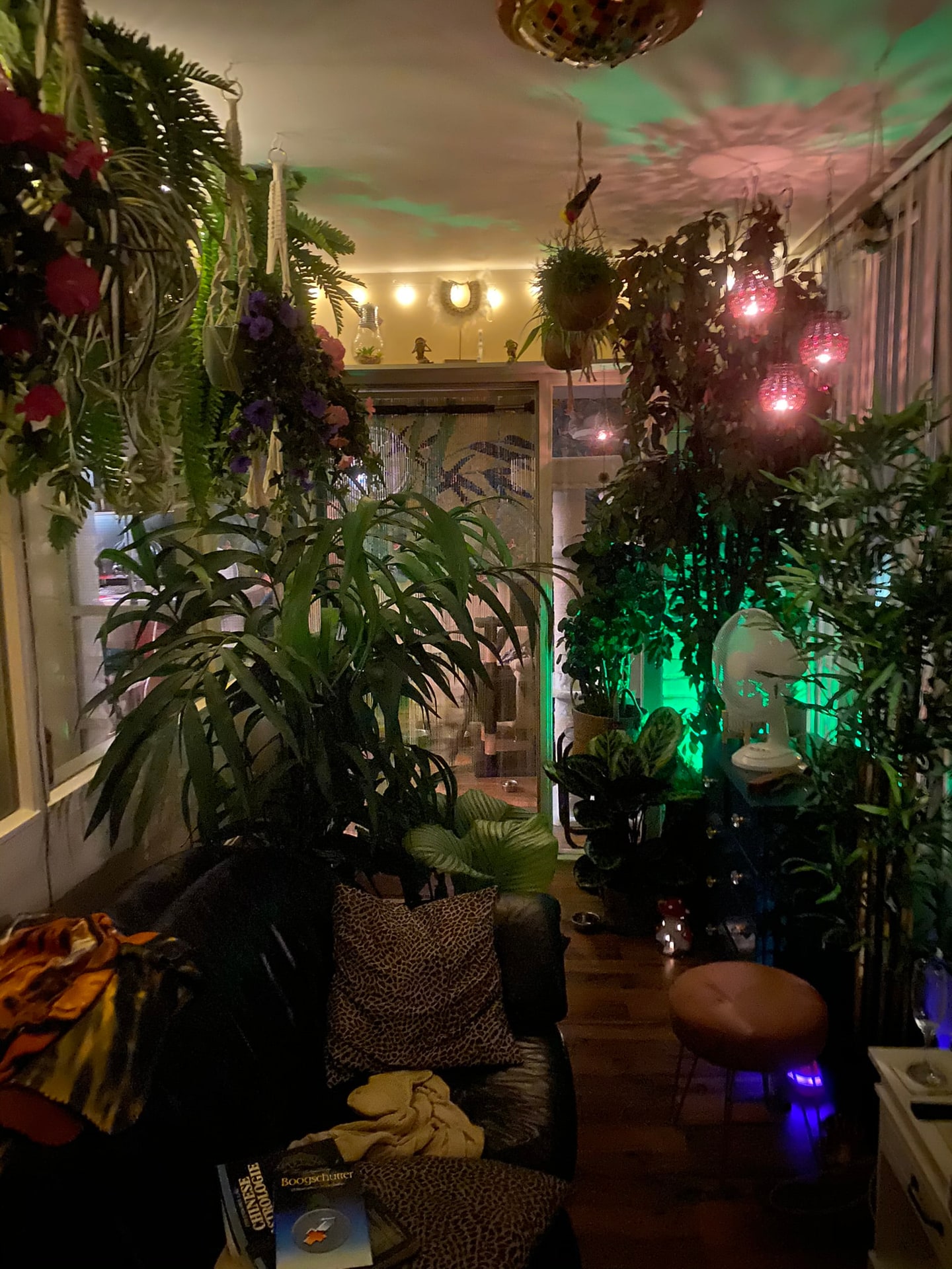 De serre in de avond, met gekleurd licht tussen de planten
