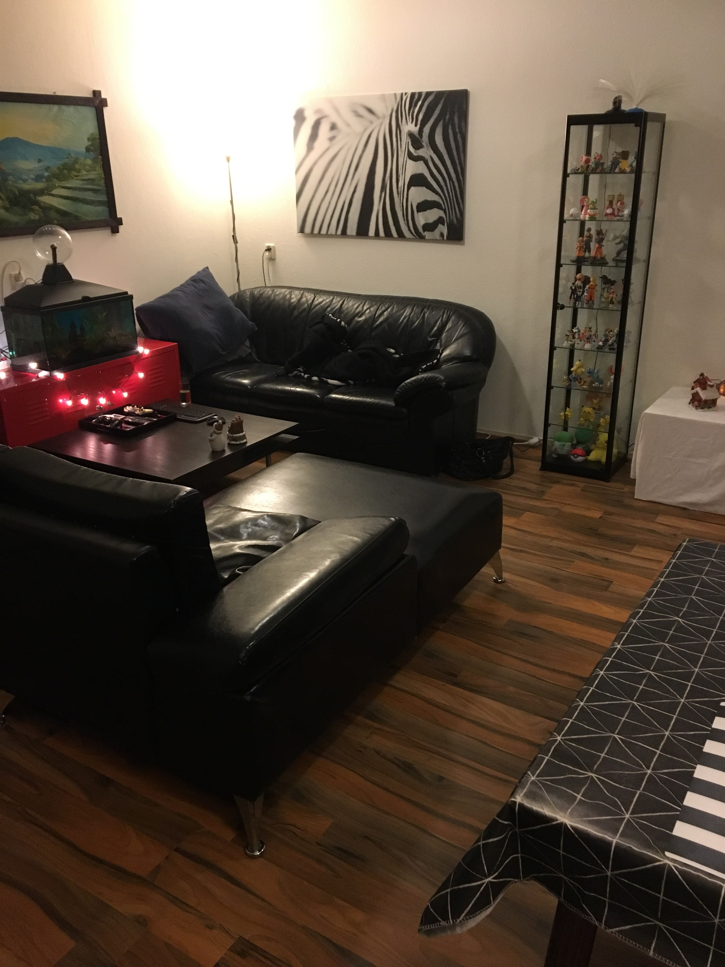 De huiskamer van het appartement in het begin, met kale wanden en weinig meubels